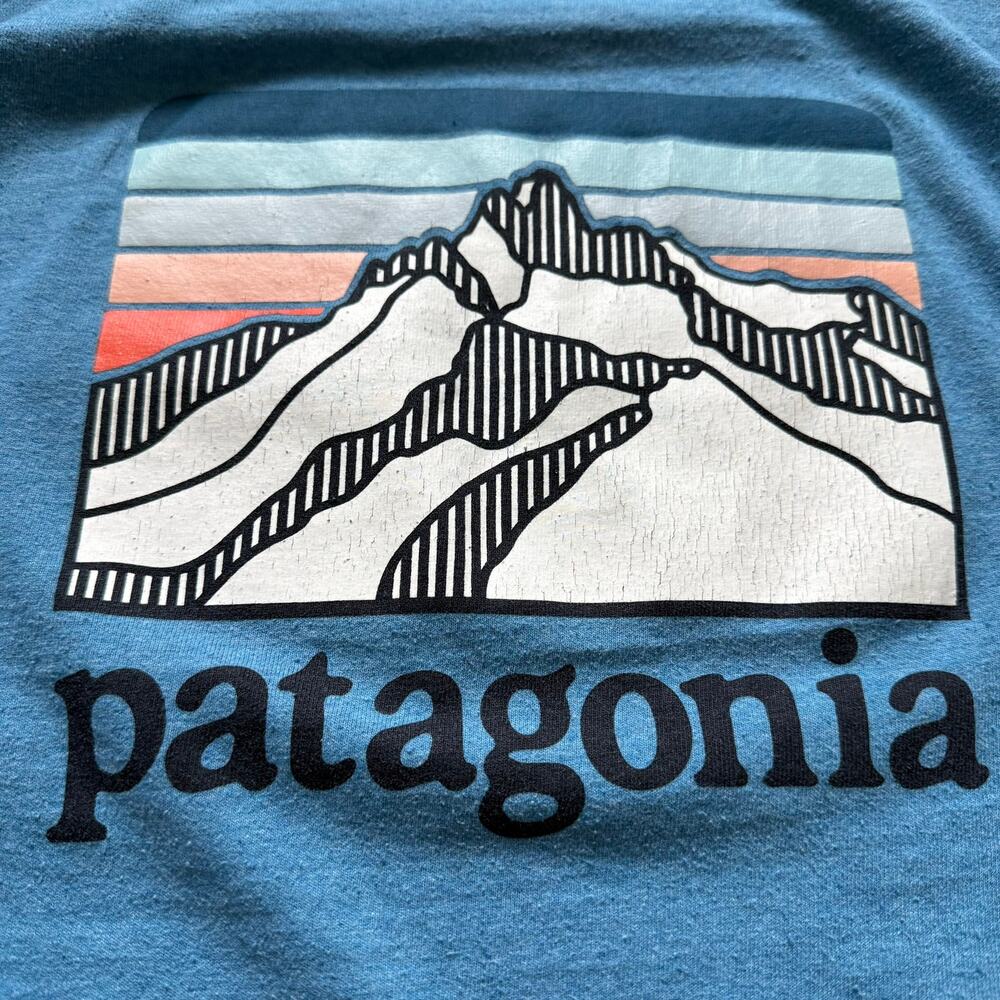 Patagonia Responsibili-Tee Blue Graphic T-Shirt Mens Small